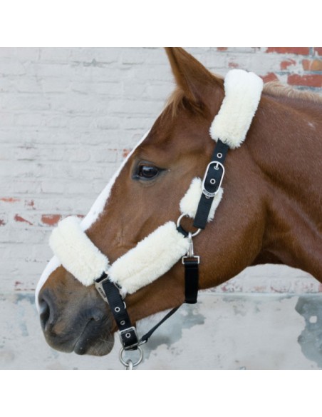 Licol en mouton WOOL Lami-cell