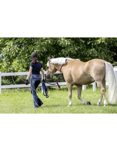 Stick éthologique USG