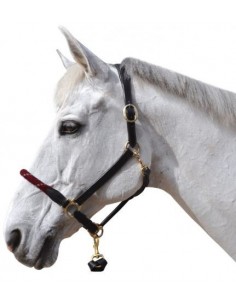 Licol cuir/corde Chetak