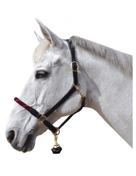 Licol cuir/corde Chetak