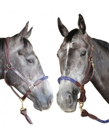 Licol cuir/corde Chetak