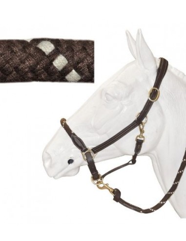 Licol cuir/corde Chetak