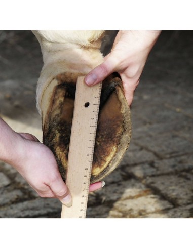 Chaussures de dépannage HKM