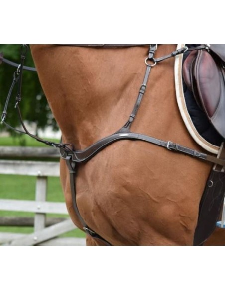 Collier de chasse 5 points avec martingale 2 en 1 Jump'in One