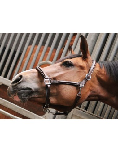 Licol de pansage ONE Jump'in One