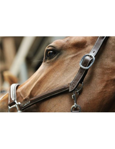 Licol de pansage ONE Jump'in One