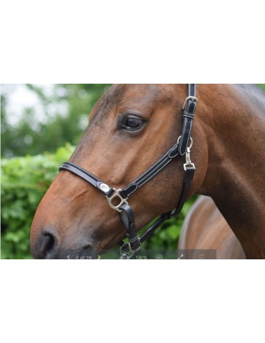 Licol de pansage WEEK Jump'In
