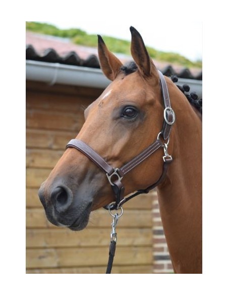 Licol FANCY Jump'in One