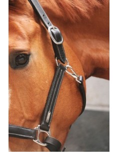 Licol FANCY Jump'in One 2