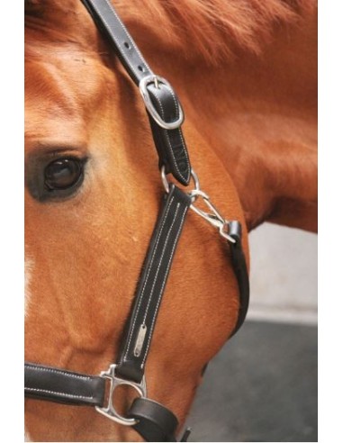 Licol FANCY Jump'in One