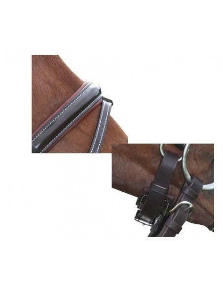 Bridon PULL BACK CANNES Privilège Equitation