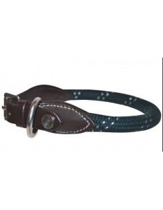Collier pour chien Canter 2