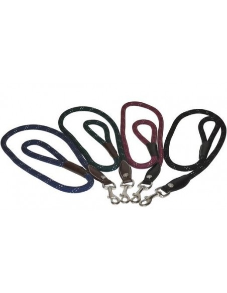 Laisse pour chien Canter