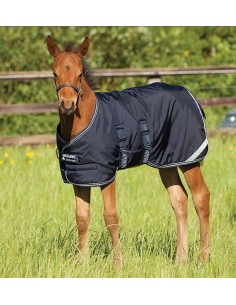 Couverture Poulain FOAL RUG Amigo