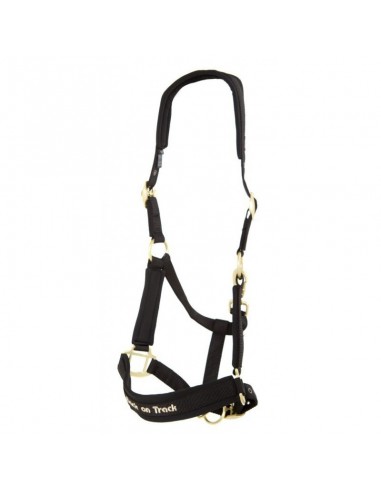 Licol WERANO Back on Track noir