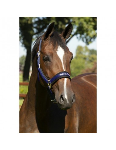 Licol WERANO Back on Track bleu marine