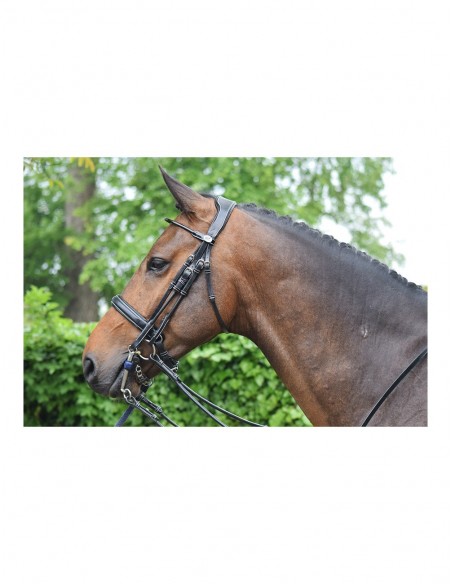 Bride de dressage WEEK Verni Jumpin