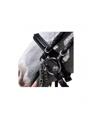 Bride de dressage HAGEN Flags & Cup | Sellerie Sylvie Equitation