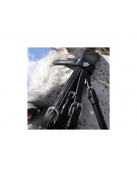 Bride de dressage HAGEN Flags & Cup | Sellerie Sylvie Equitation