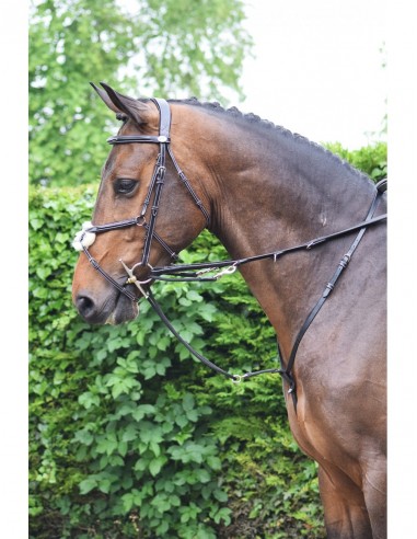 Enrênement Howlett WEEK Jump'In