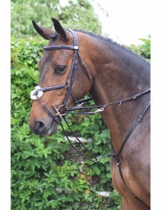 Enrênement Howlett WEEK Jump'In