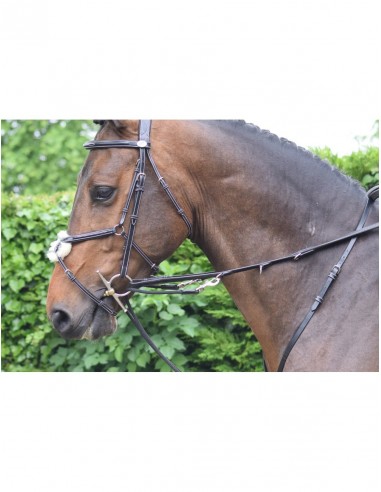 Enrênement Howlett WEEK Jump'In