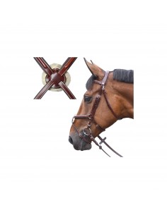 Bridon AUSTIN CROISE Lexington | Sellerie Sylvie Equitation