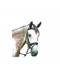 Bridon Pull Back LE TOUQUET Privilège Equitation | Sellerie Sylvie Equitation