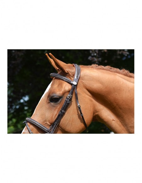 Bridon CRYSTAL Jump'in