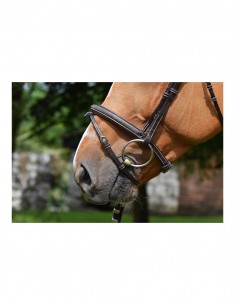 Bridon CRYSTAL Jump'in 2