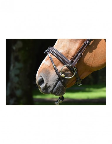 Bridon FRIDAY Jump'in