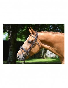 Bridon FRIDAY Jump'in