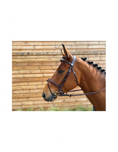 Bridon TUESDAY Jump'in