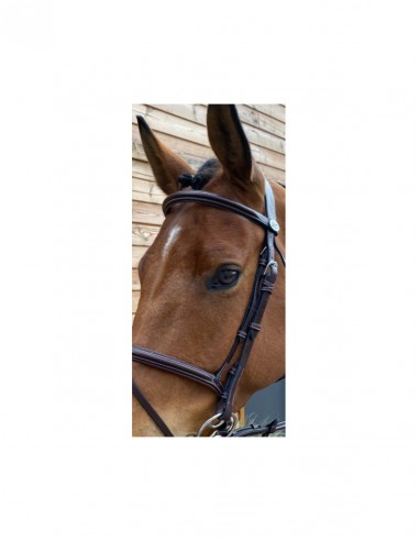 Bridon TUESDAY Jump'in