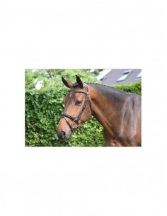 Bridon WEDNESDAY Jump'in