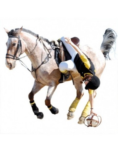 Enveloppe pour ballon de Horse-Ball T DE T