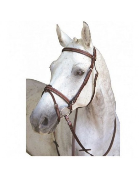 Bridon CHICAGO COMBINE Lexington