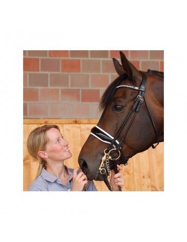 Bride muserolle large vernis doublure blanche Dy'on