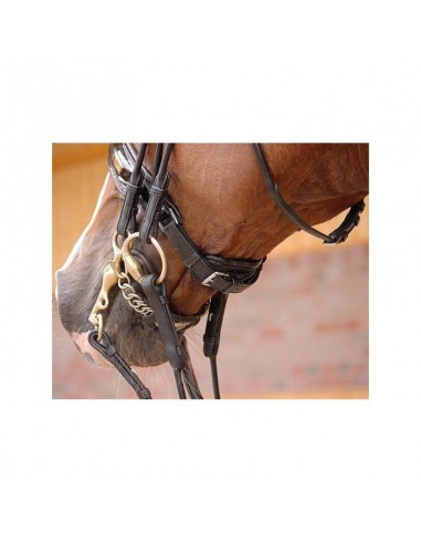 Bride muserolle large vernis doublure blanche Dy'on