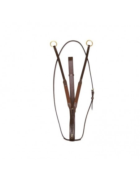 Martingale à anneaux élastique Canter  | Sellerie Sylvie Equitation