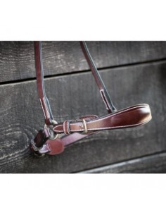 Muserolle allemande à boucles WEEK Jump'in