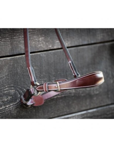 Muserolle allemande à boucles WEEK Jump'in