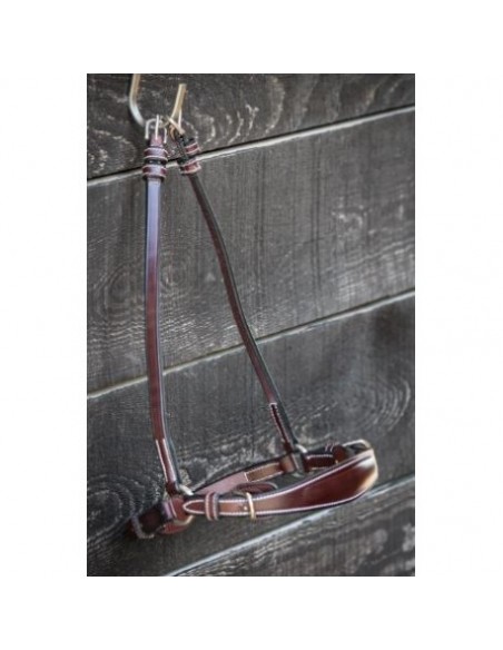 Muserolle allemande à boucles WEEK Jump'in