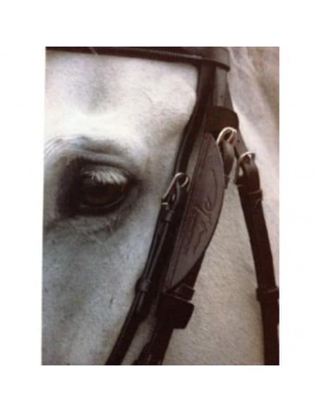 Oeilléres FOCUS English Collection Dyon