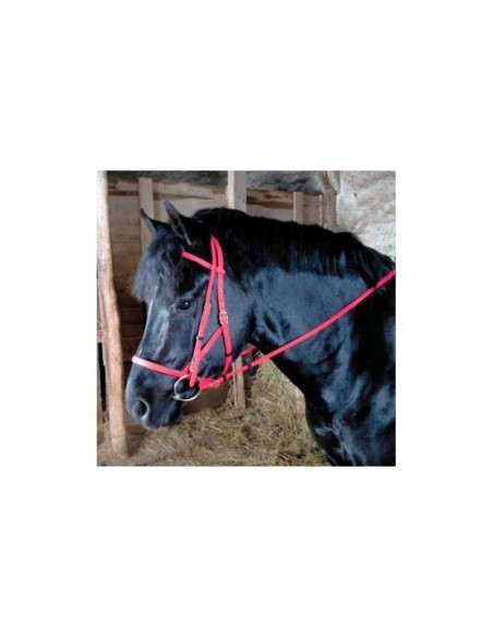 Bridon d'endurance BIOTACK T de T