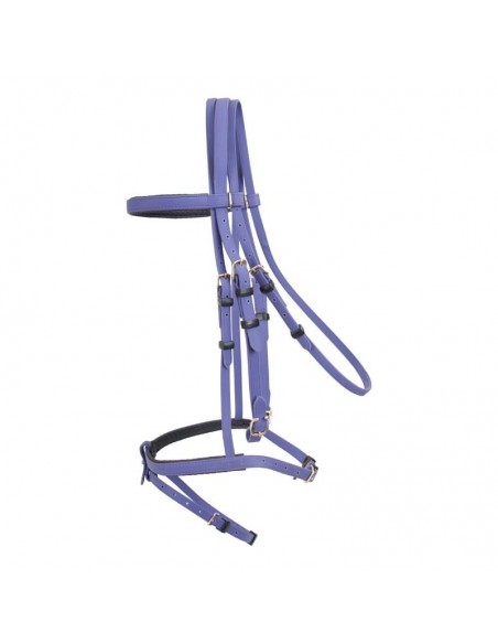 Bridon d'endurance BIOTACK T de T