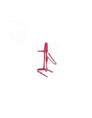 Bridon d'endurance BIOTACK T de T