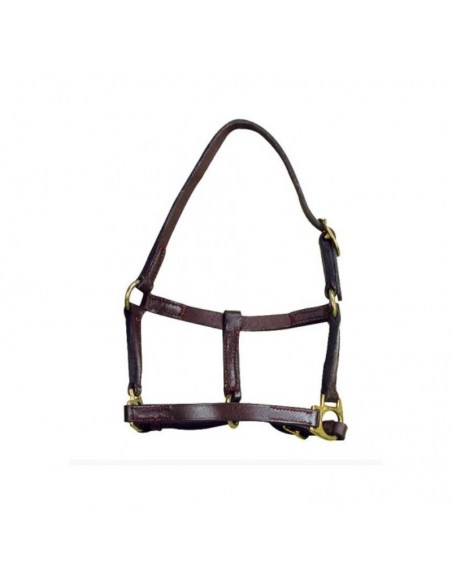 Licol cuir poulain APOLLO