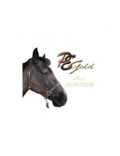 Licol Hartney PE Gold