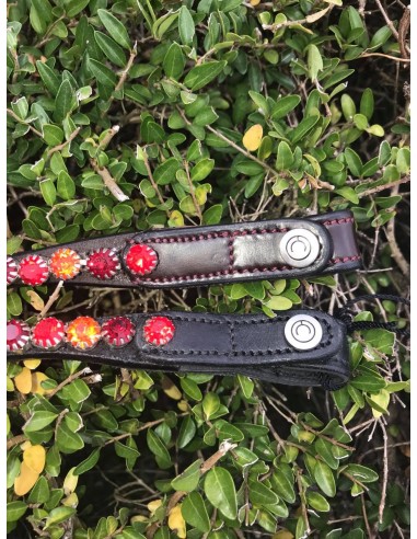 Frontal Mighty Mix Montar